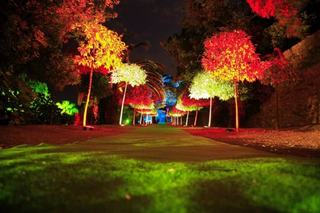 Jardin mis en lumière pour une soirée